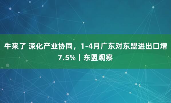牛来了 深化产业协同，1-4月广东对东盟进出口增7.5%丨东盟观察