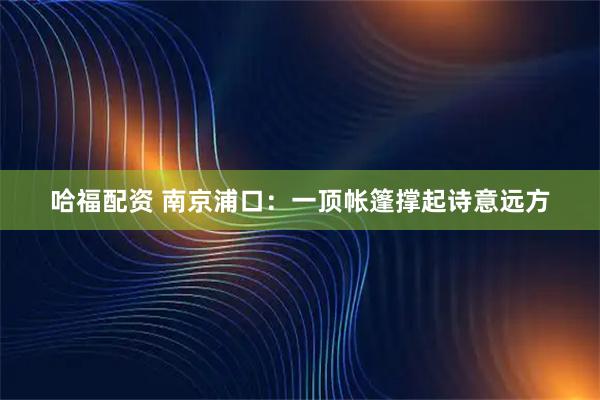 哈福配资 南京浦口：一顶帐篷撑起诗意远方