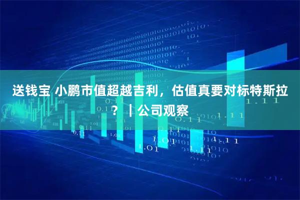 送钱宝 小鹏市值超越吉利，估值真要对标特斯拉？｜公司观察