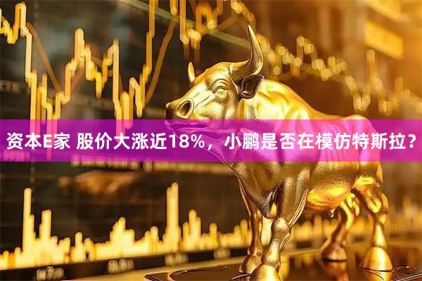 资本E家 股价大涨近18%，小鹏是否在模仿特斯拉？