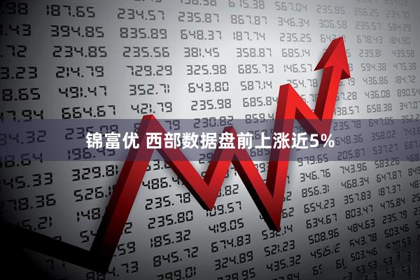 锦富优 西部数据盘前上涨近5%