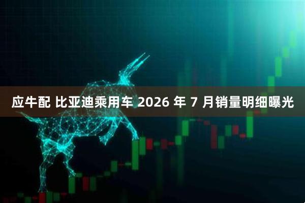 应牛配 比亚迪乘用车 2026 年 7 月销量明细曝光