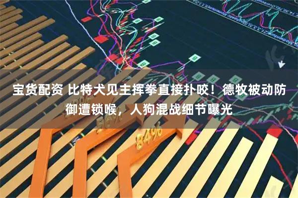宝货配资 比特犬见主挥拳直接扑咬！德牧被动防御遭锁喉，人狗混战细节曝光